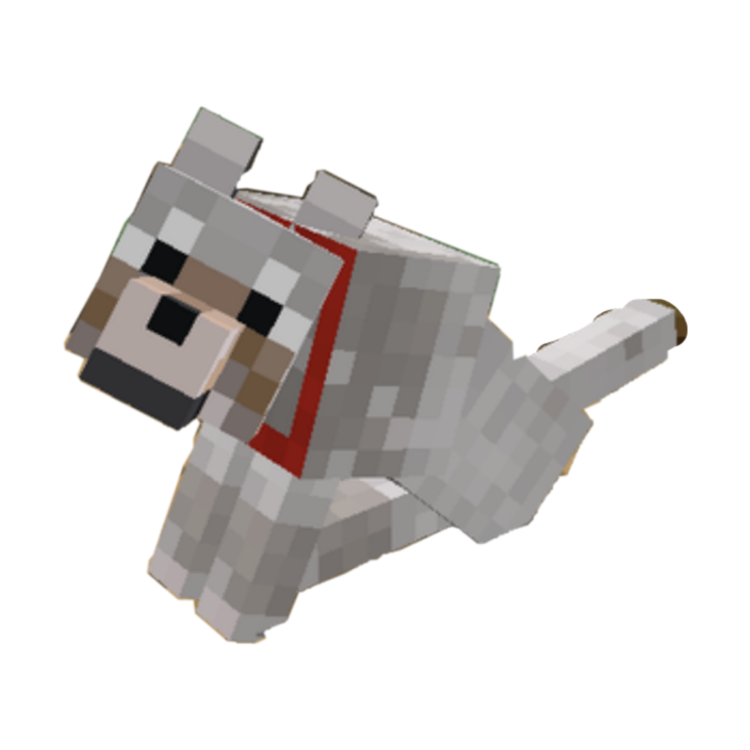 Голландская овчарка Квазимодо псина