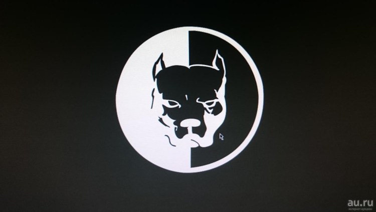 Pitbull Давидыч