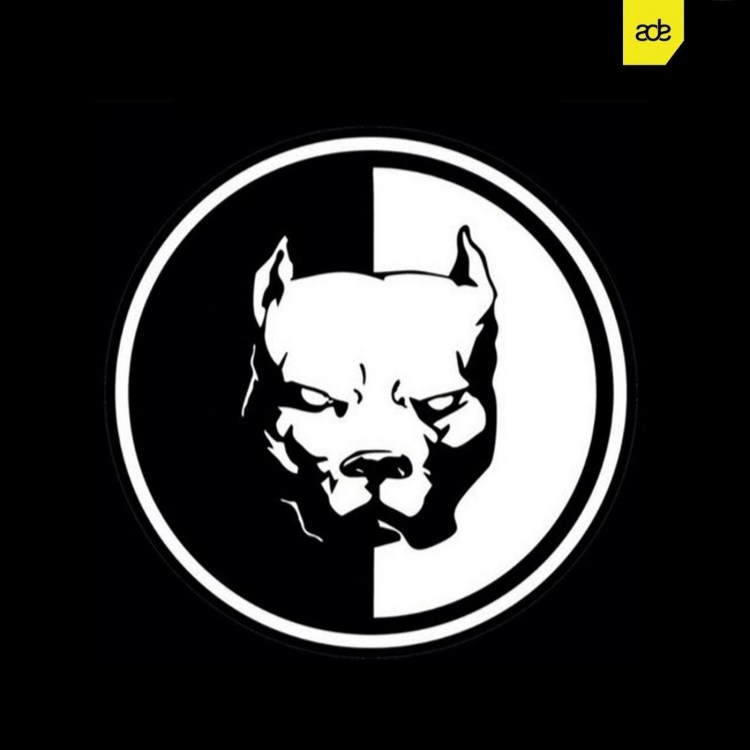 Питбуль тату на белом фоне