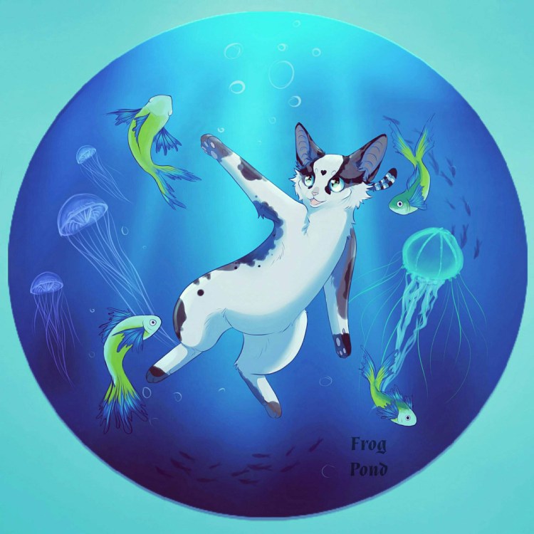 Арты водные котики