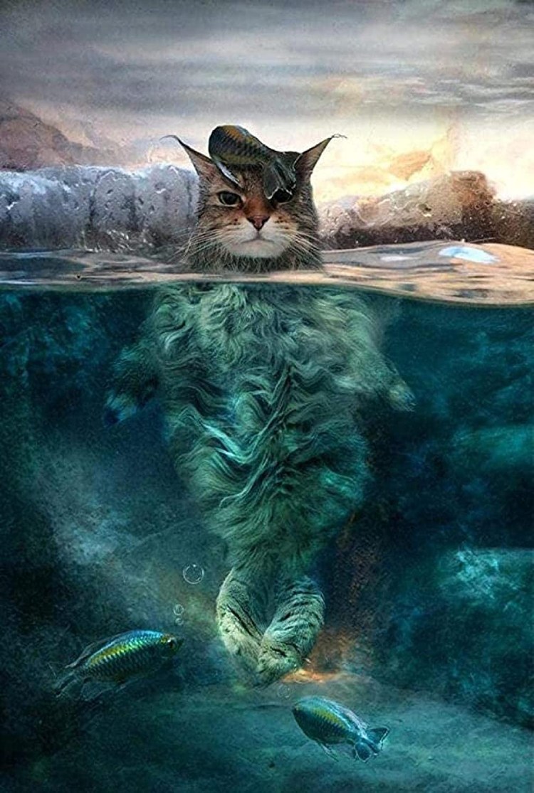 Фэнтези кошки