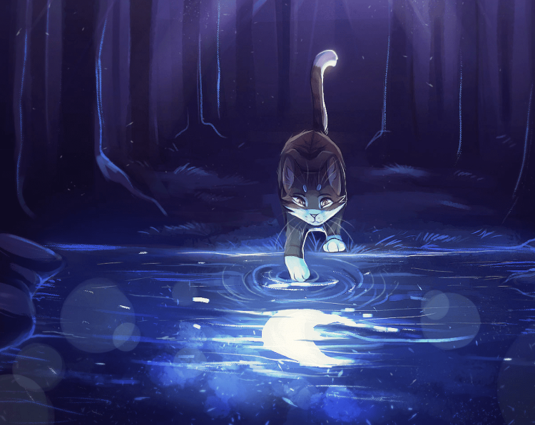 Рихардс Донскис Чеширский кот