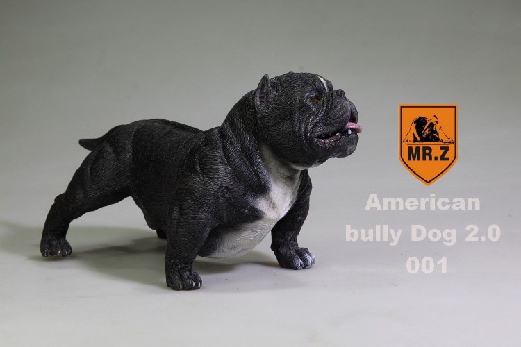 Чёрный булли экзот