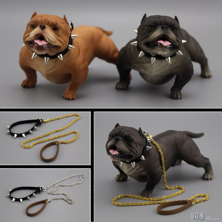 Американского булли с игрушкой