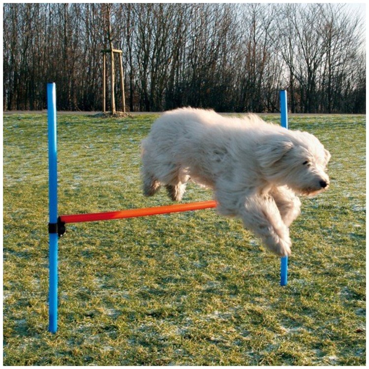 Набор для аджилити Trixie Jump