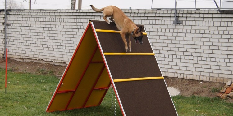 Горка для собак