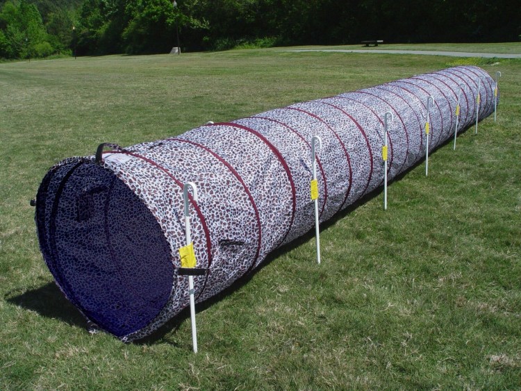 Снаряды для аджилити