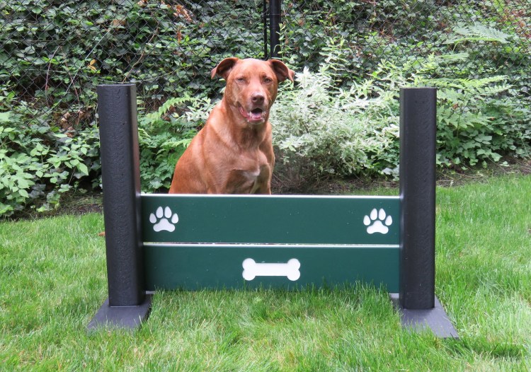 Барьер 1000 сп002 для собачьих площадок