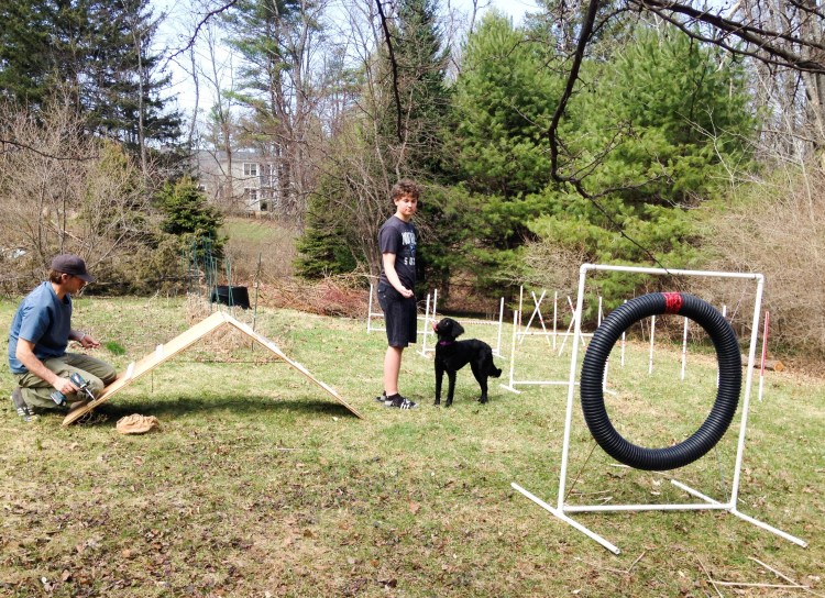 Самодельная площадка для собак