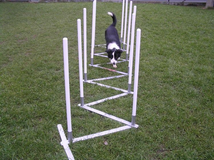 Тренажёры для собак на площадках