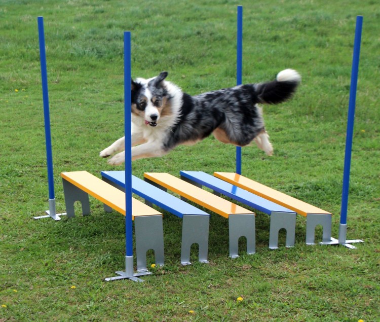 Барьер для аджилити