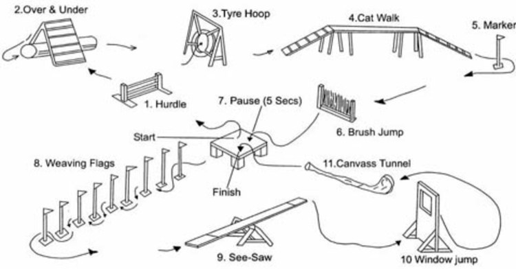 Аджилити препятствия схема
