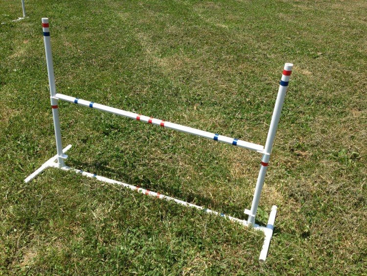 Снаряды для собак