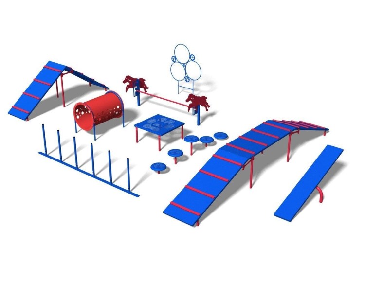 Аджилити полоса препятствий
