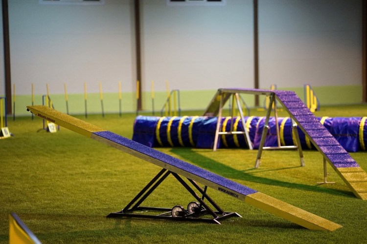 Бум аджилити