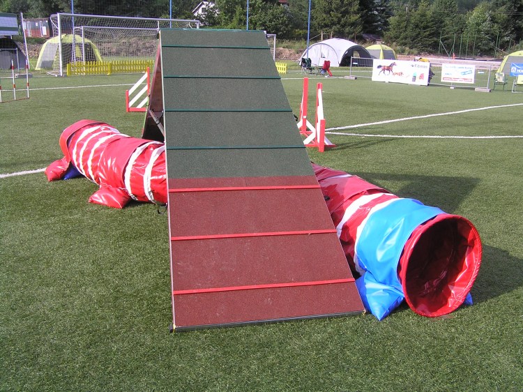 Виадук для аджилити