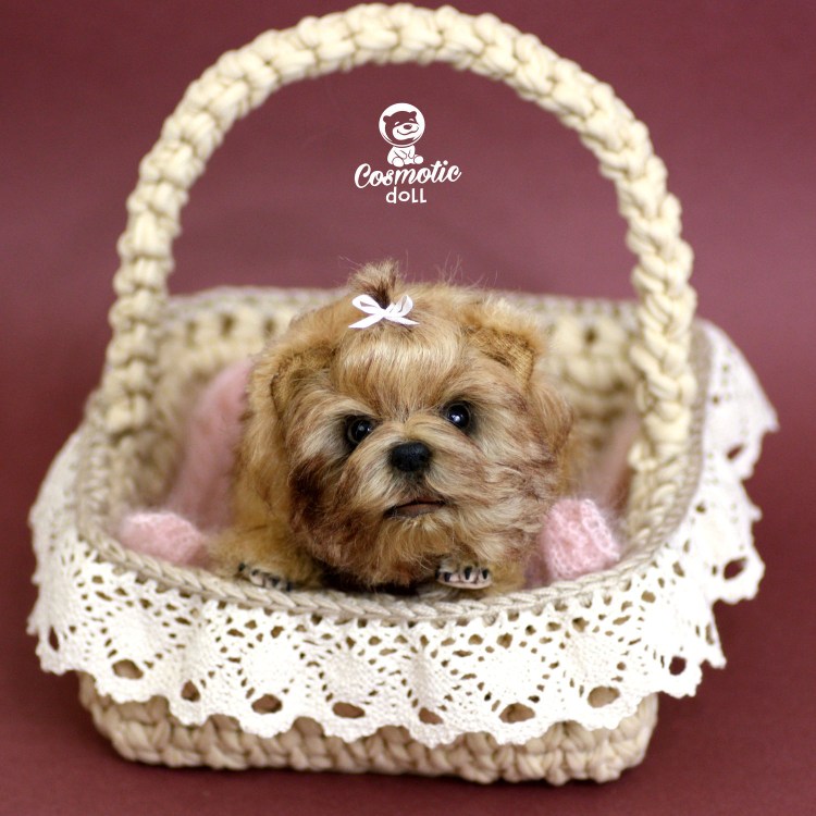 Собака президента Рузвельта