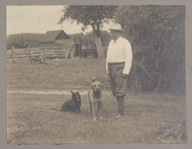 Фала шотландский терьер