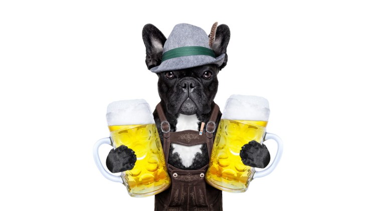 Собака с пивом и сосисками