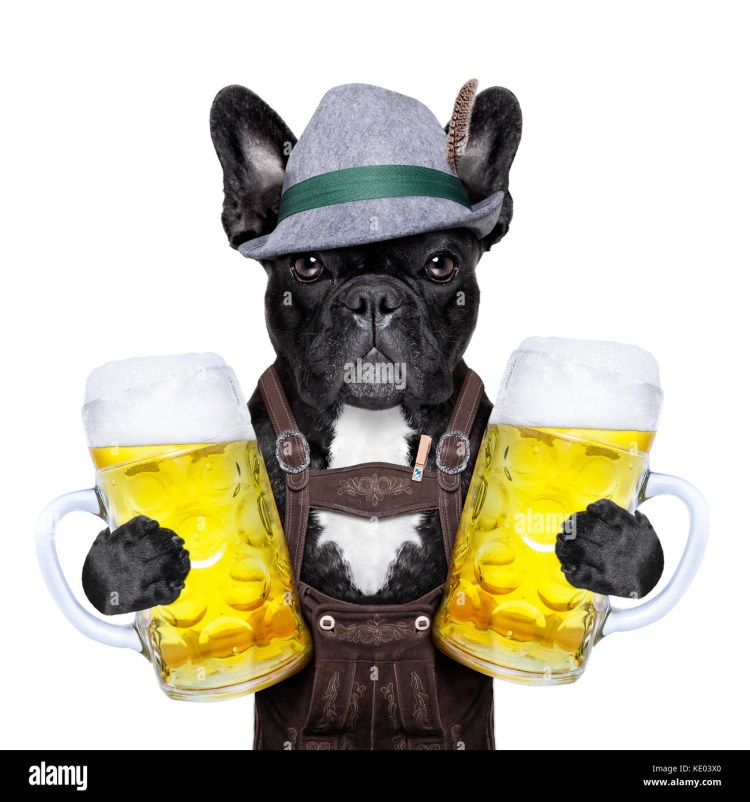 Животные с кружкой пива