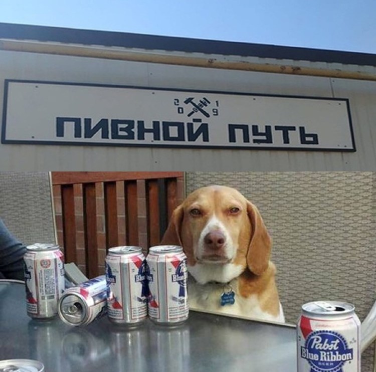 У самурая нет цели Мем