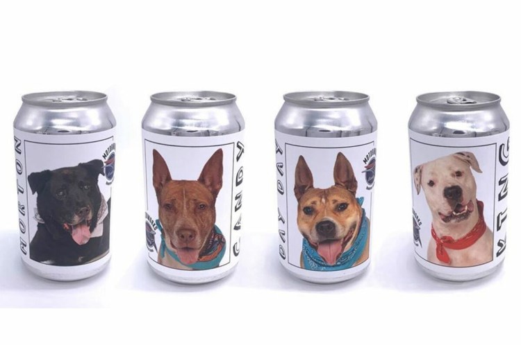 Собака на банках