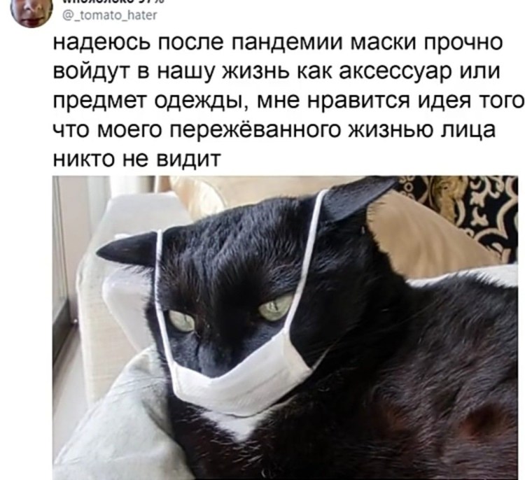 Маска кота