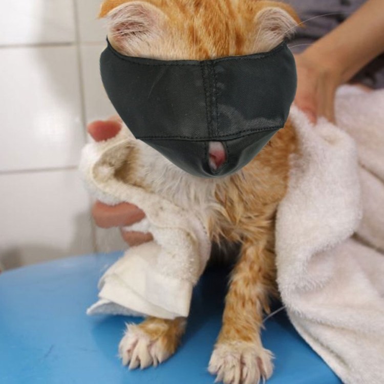 Kruuse нейлоновый намордник для кошек l