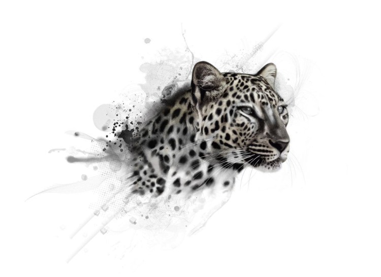 Ирбис Графика