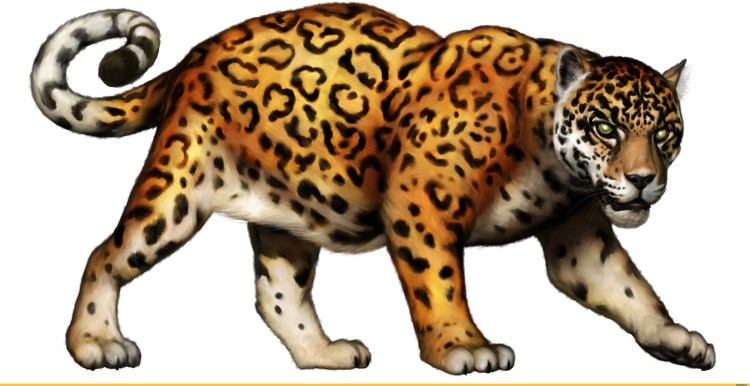 Леопард для детей