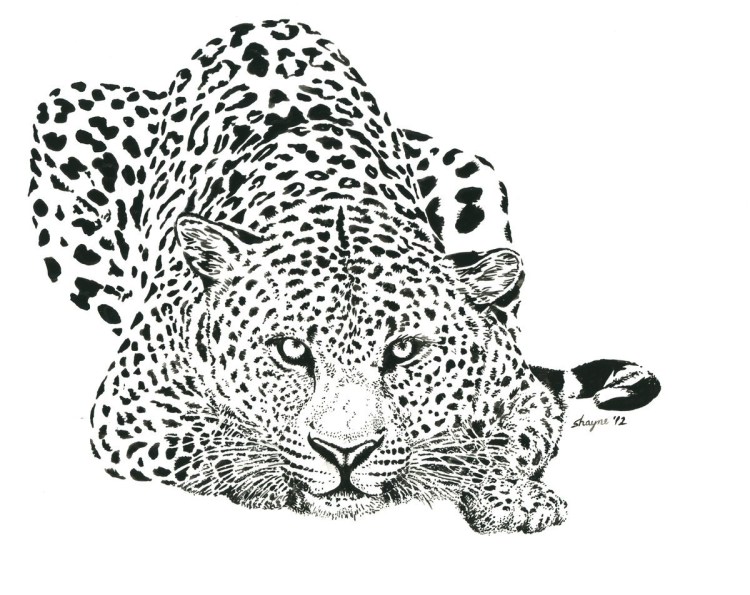 Наклейки с гепардятами