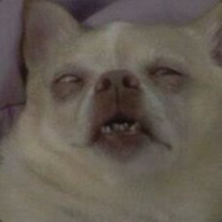 Ахегао Реал лайф