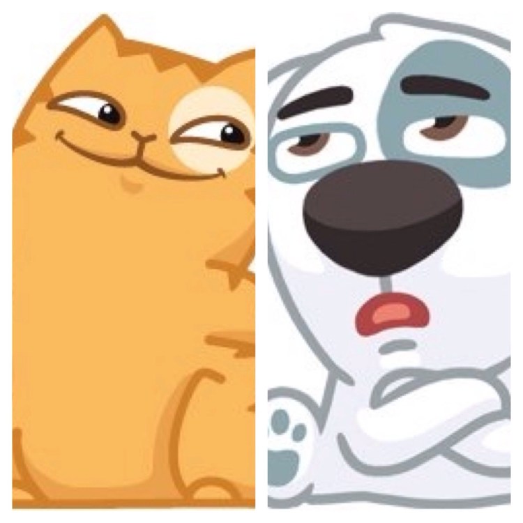 Глаза собаки