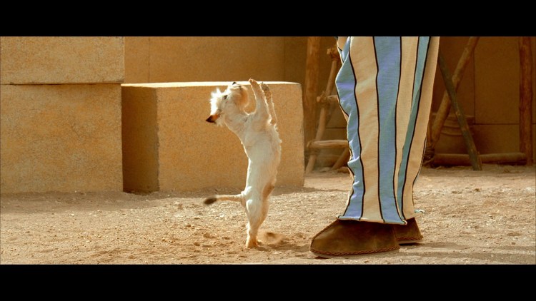 Собака из Астерикс и Обеликс