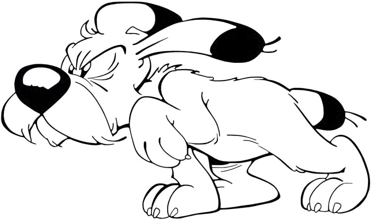 Вест хайленд терьер рыжий