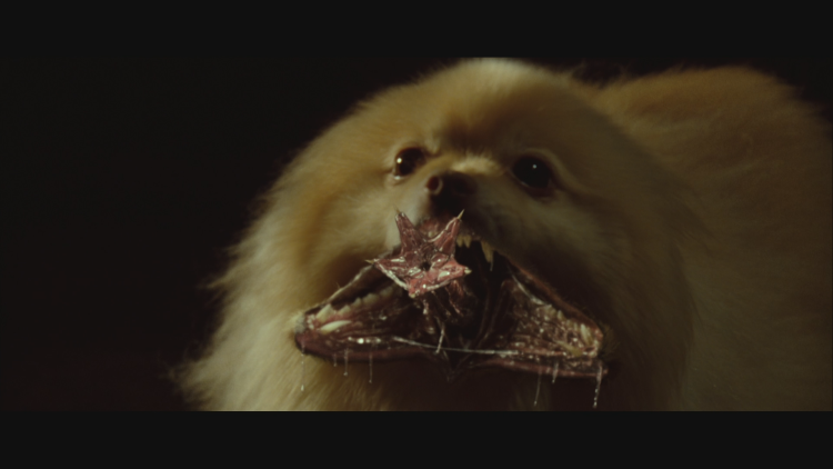 Фильм Блэйд собака вампир