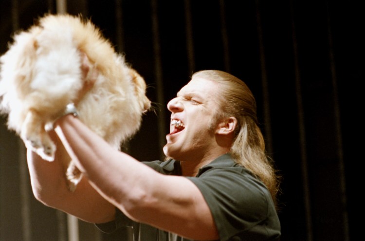 Брошка шпиц из шерсти