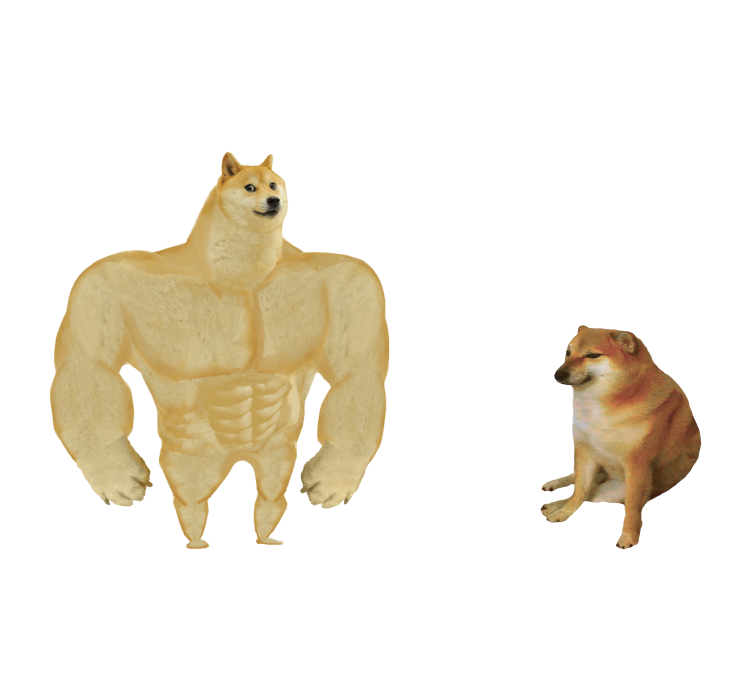 Шпиц пырзик линька