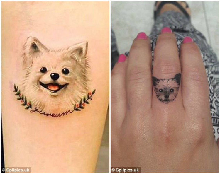 Шпиц из шерсти