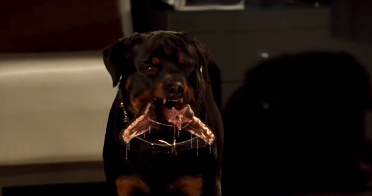 Пес-вампир фильм 2012