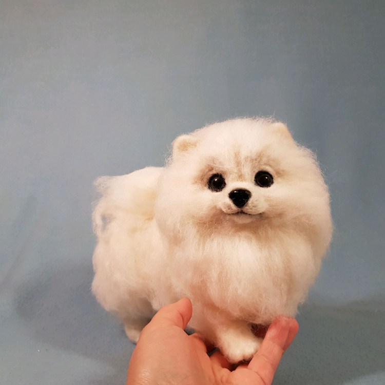 Шпицы наклоняют голову прикол