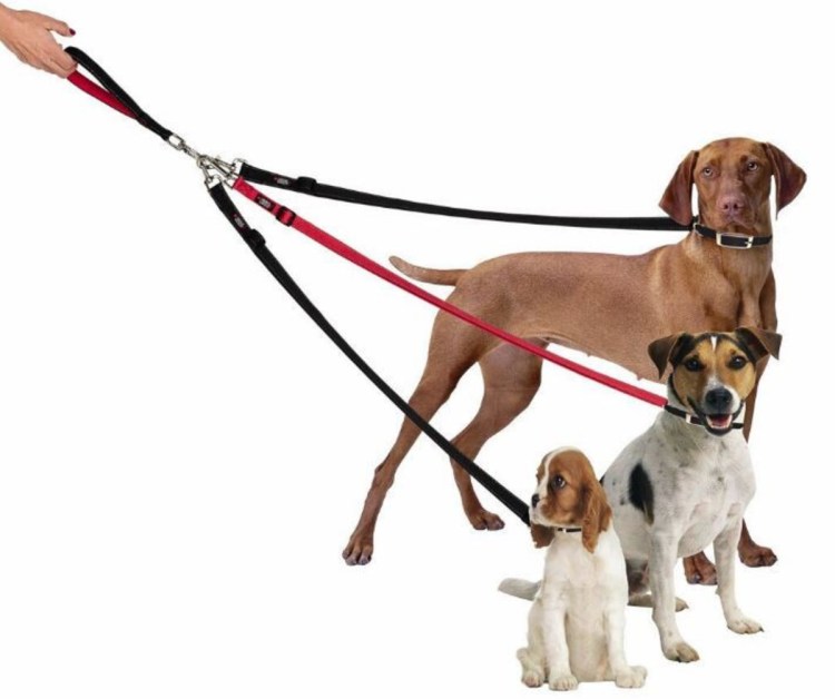 Поводок для собак