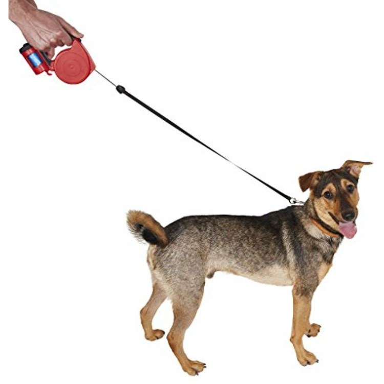 Щенок с поводком