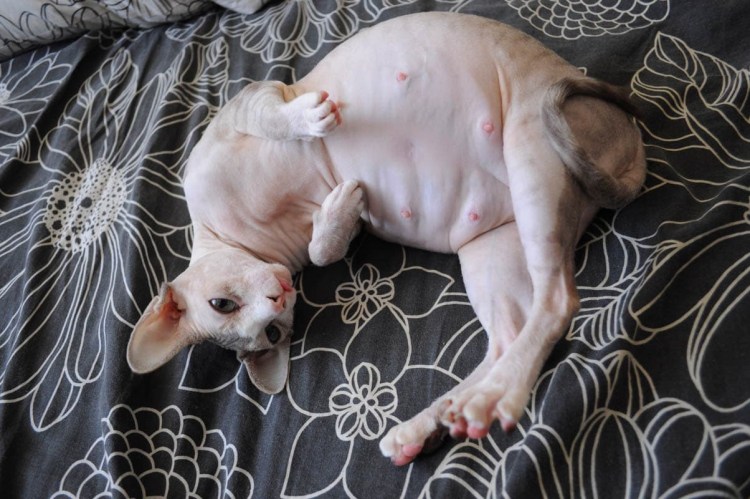 Мажущие коричневые выделения