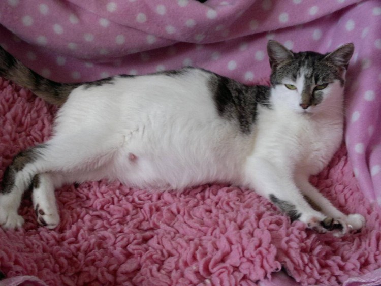 Трубная внематочная беременность