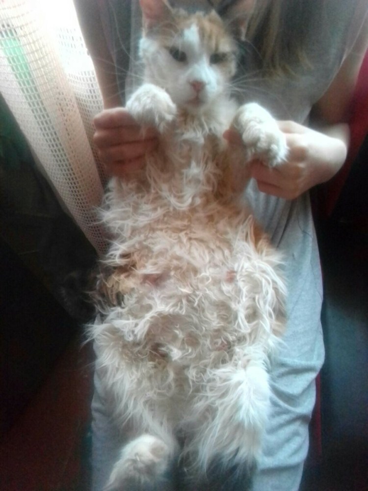 Густые бежевые выделения