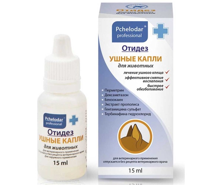 Атопический дерматит у собак