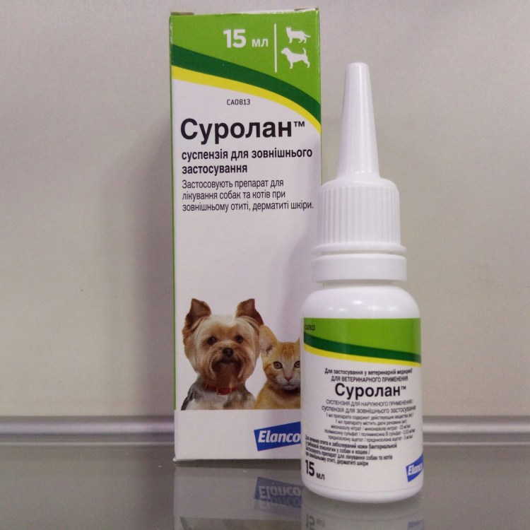 Дерматология животных