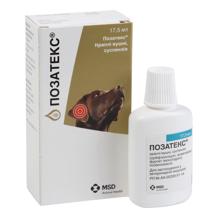 Аллергический отит у собак