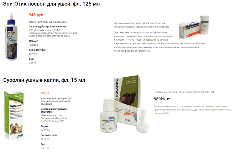 Залысины у кота над глазами